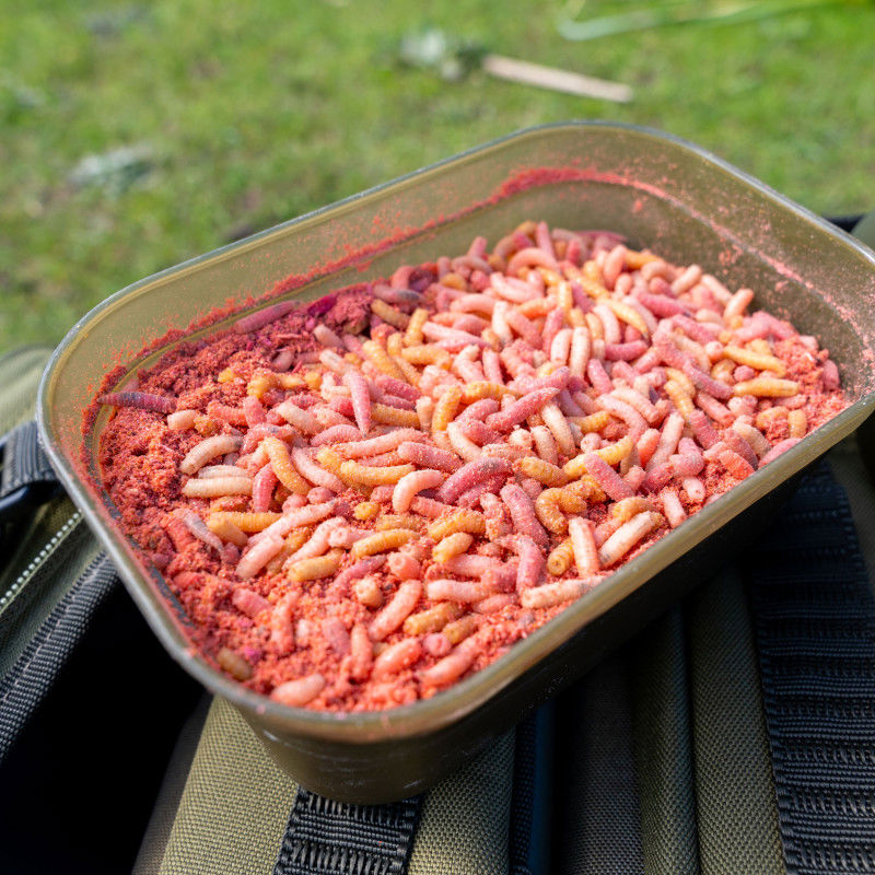 Korum Maggot Lid Bait Tub 1 Pint